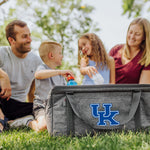 Kentucky Wildcats - 64 Can Collapsible Cooler