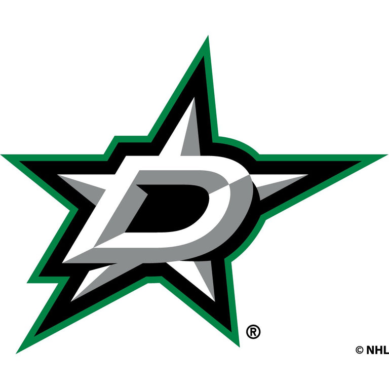 NHL team Dallas Stars logo