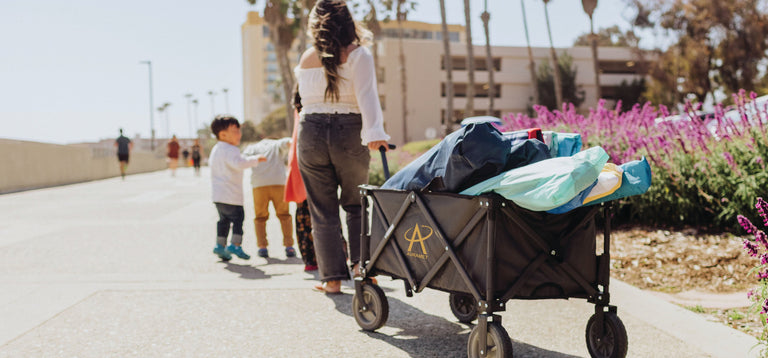 Folding Wagons