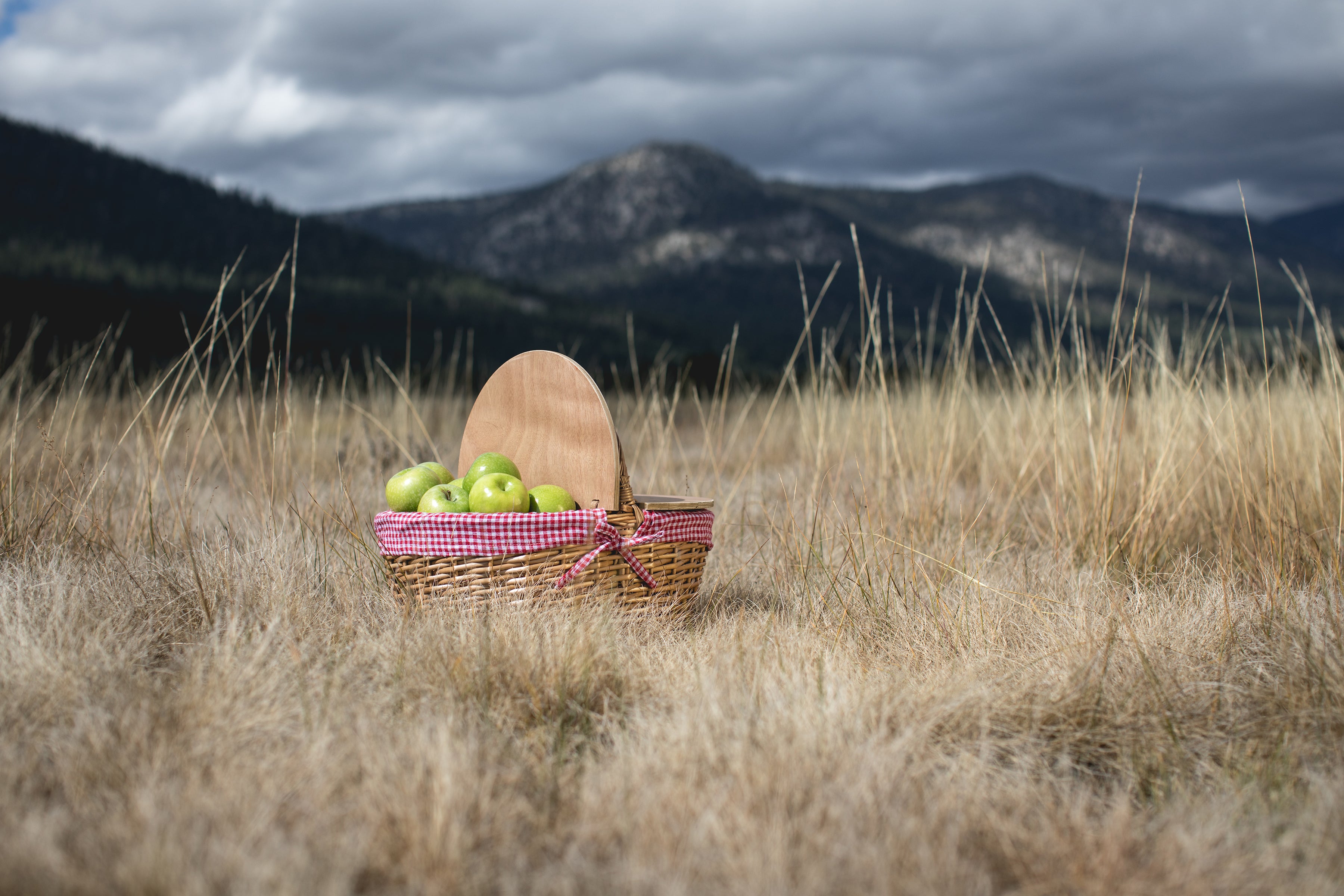 Washington Nationals - Country Picnic Basket