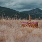 St. Louis Cardinals - Country Picnic Basket