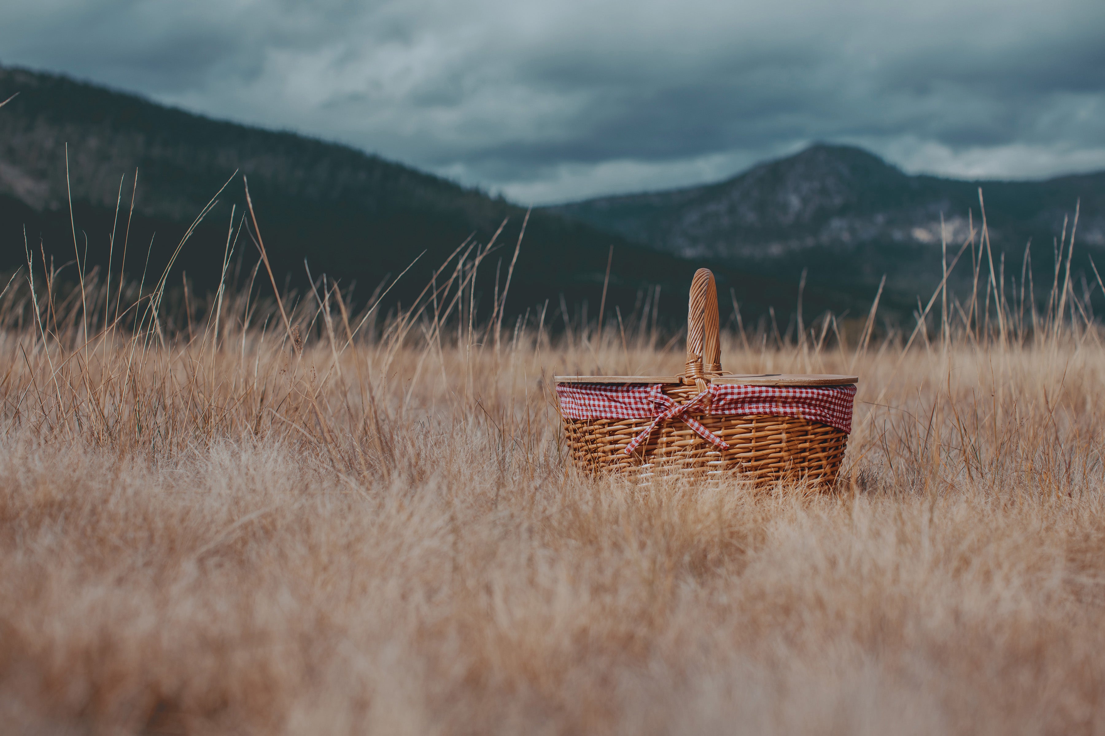 Seattle Mariners - Country Picnic Basket