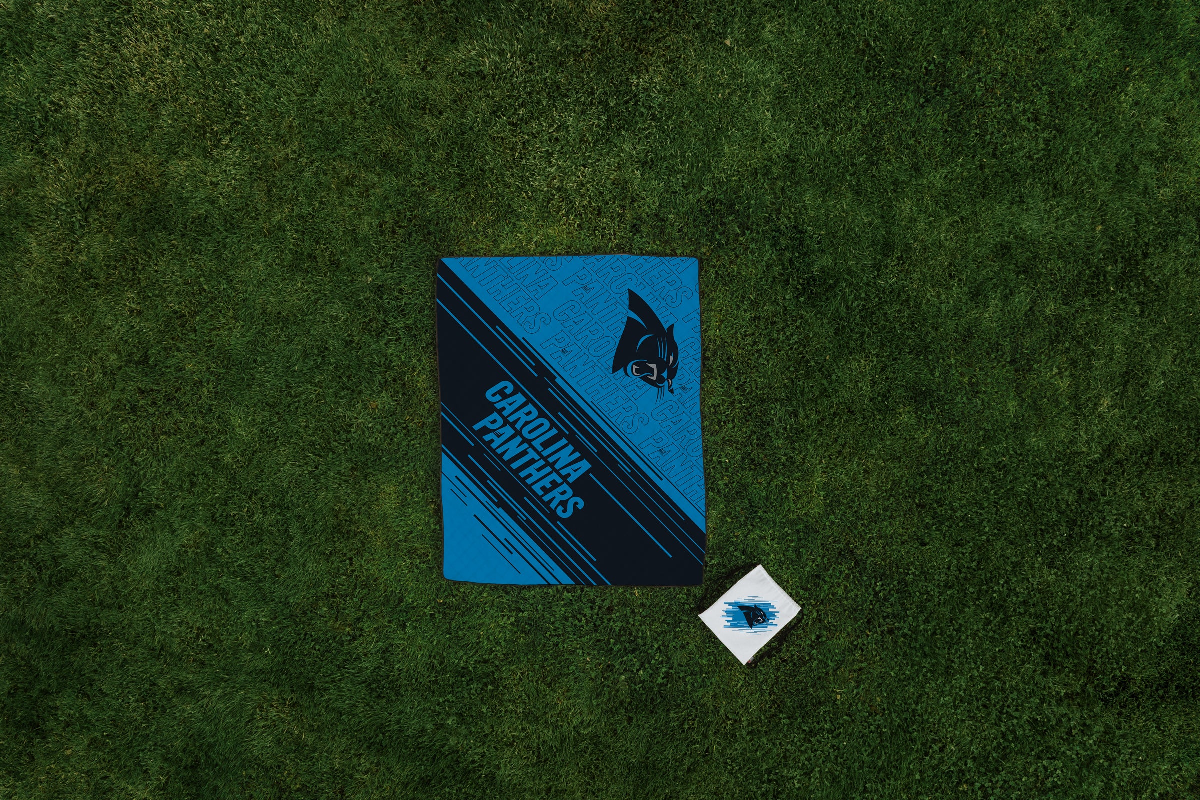 Carolina Panthers - Impresa Picnic Blanket