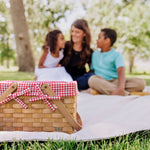 Farmhouse Basket - Red and White Gingham Basket Empty