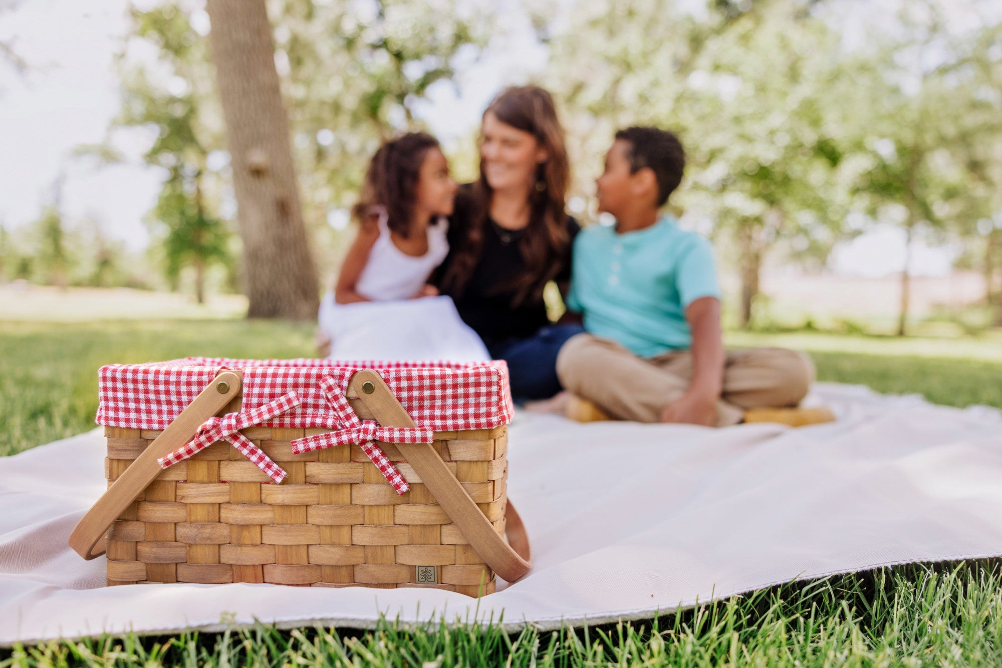 Piccola Picnic Basket