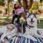 Vista Outdoor Picnic Blanket & Tote