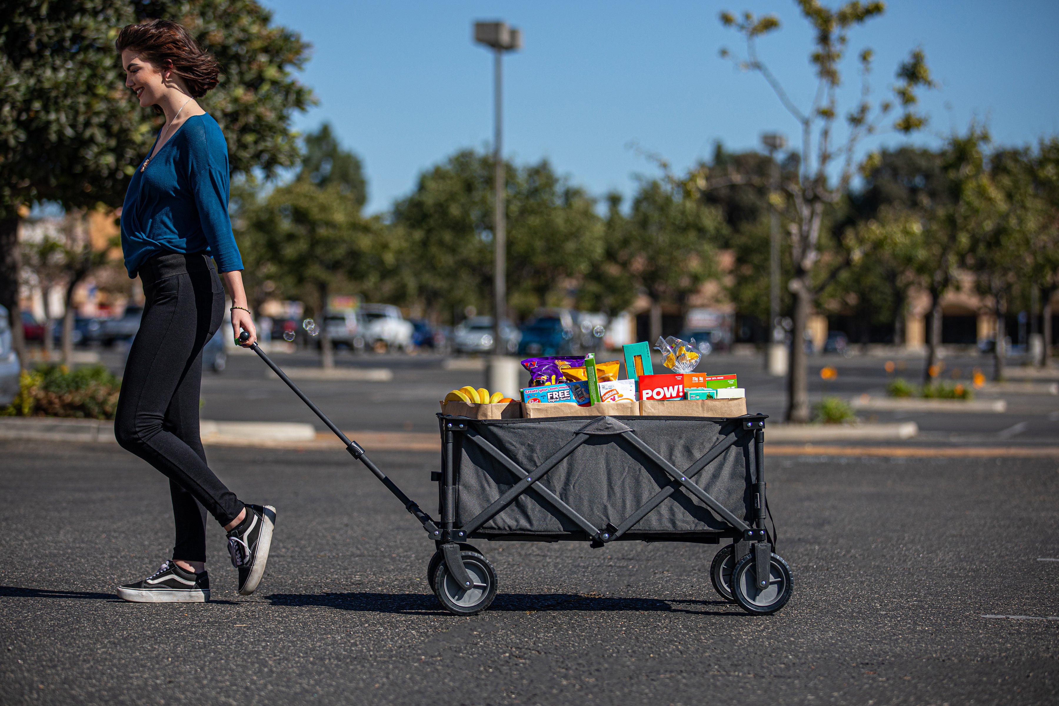 Carolina Panthers - Adventure Wagon Portable Utility Wagon