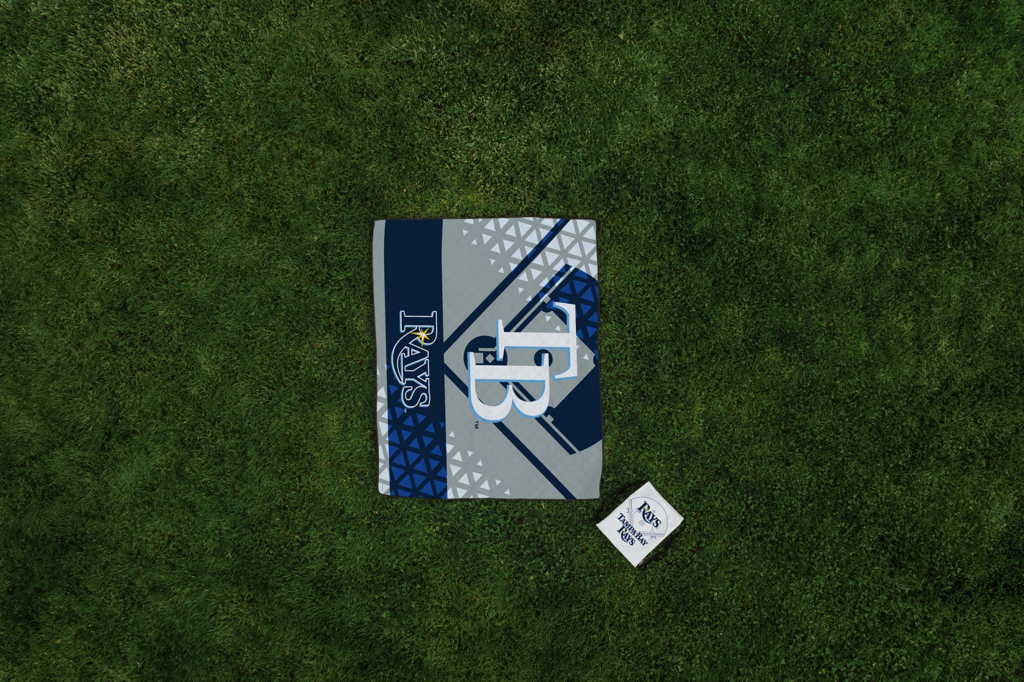 Tampa Bay Rays - Impresa Picnic Blanket