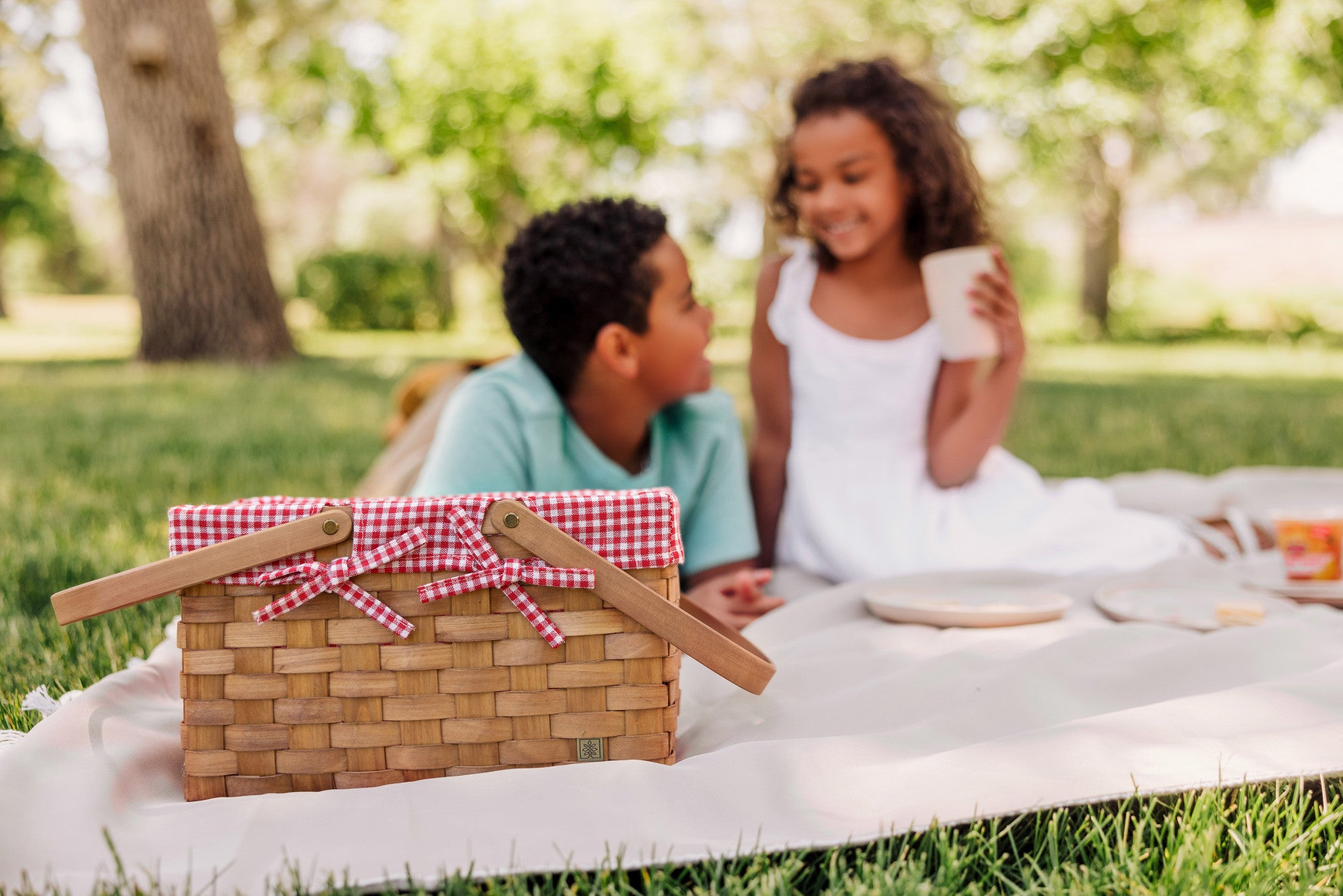 Piccola Picnic Basket