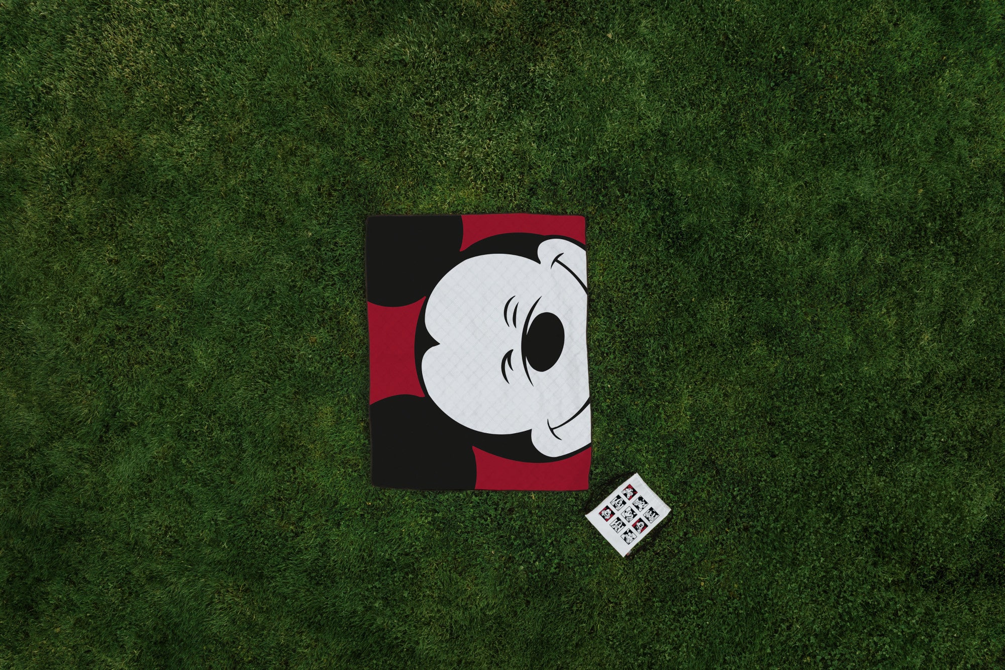 Mickey Mouse - Impresa Picnic Blanket