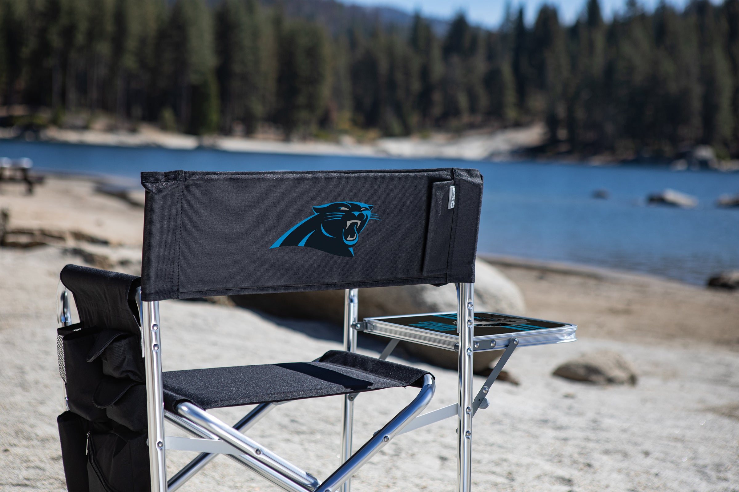 Carolina Panthers - Sports Chair